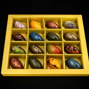 Signature box 16